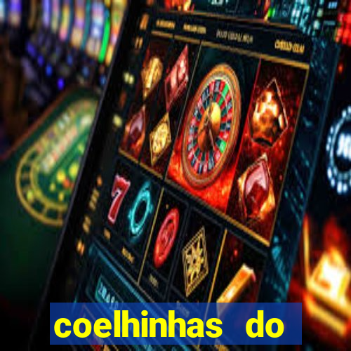 coelhinhas do brasil recife